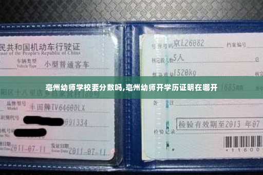 亳州幼师学校要分数吗,亳州幼师开学历证明在哪开