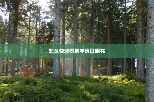 怎么快速得到学历证明书