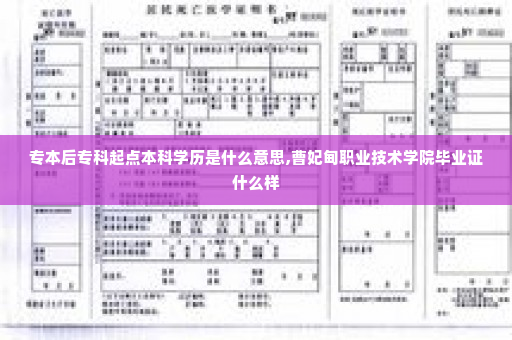 专本后专科起点本科学历是什么意思,曹妃甸职业技术学院毕业证什么样