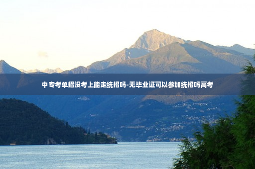 中专考单招没考上能走统招吗-无毕业证可以参加统招吗高考