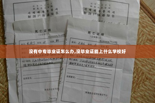 没有中专毕业证怎么办,没毕业证能上什么学校好