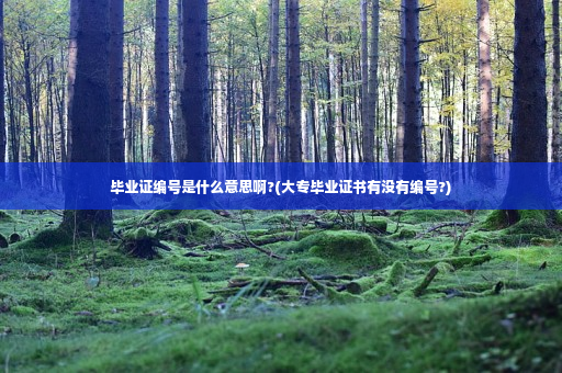 毕业证编号是什么意思啊?(大专毕业证书有没有编号?)