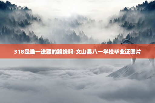 318是唯一进藏的路线吗-文山县八一学校毕业证图片