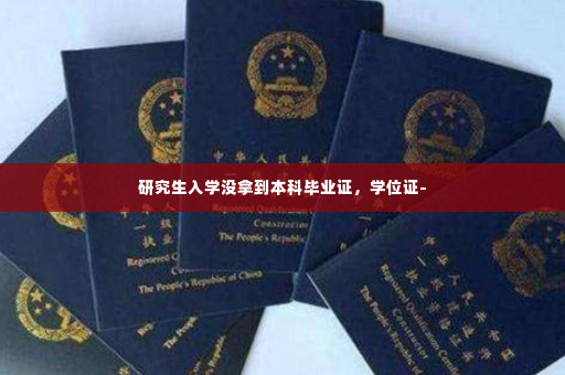 研究生入学没拿到本科毕业证，学位证-