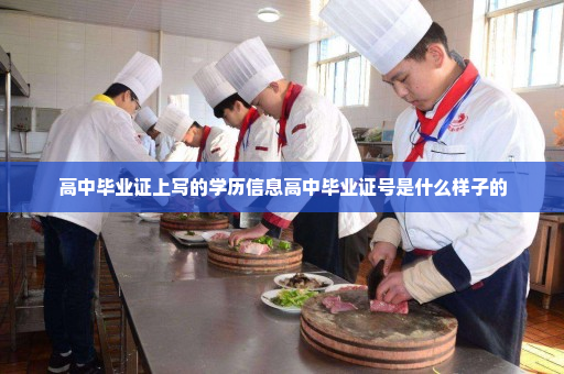 高中毕业证上写的学历信息高中毕业证号是什么样子的