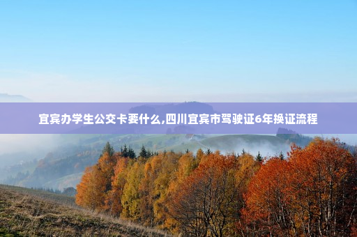 宜宾办学生公交卡要什么,四川宜宾市驾驶证6年换证流程