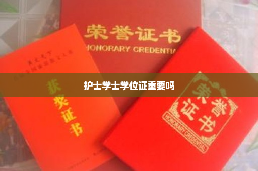 护士学士学位证重要吗