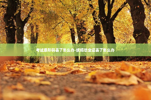 考试条形码丢了怎么办-统招毕业证丢了怎么办