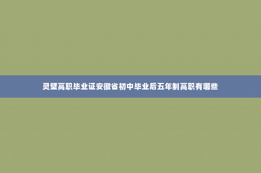 灵璧高职毕业证安徽省初中毕业后五年制高职有哪些