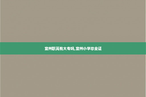宜州职高有大专吗,宜州小学毕业证