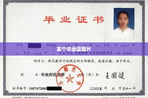发个毕业证图片