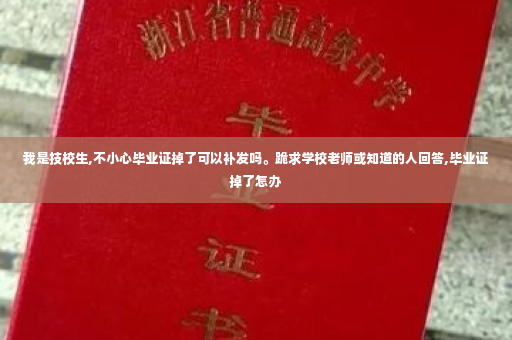 我是技校生,不小心毕业证掉了可以补发吗。跪求学校老师或知道的人回答,毕业证掉了怎办