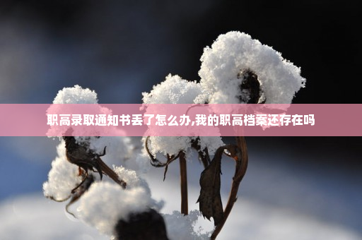 职高录取通知书丢了怎么办,我的职高档案还存在吗