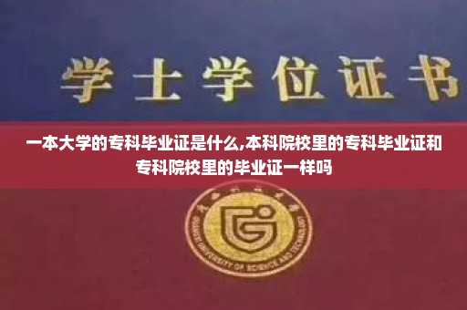 一本大学的专科毕业证是什么,本科院校里的专科毕业证和专科院校里的毕业证一样吗