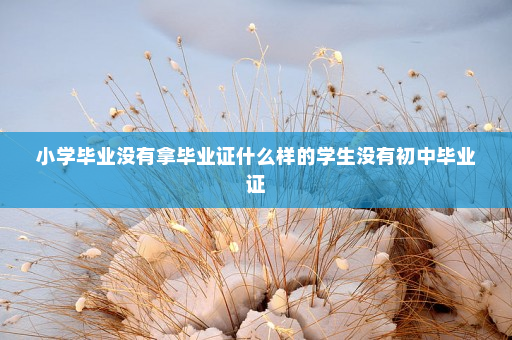 小学毕业没有拿毕业证什么样的学生没有初中毕业证