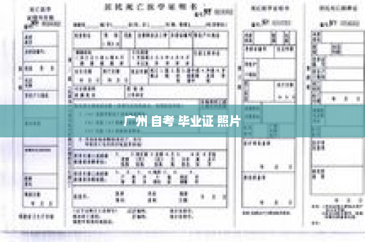 广州 自考 毕业证 照片