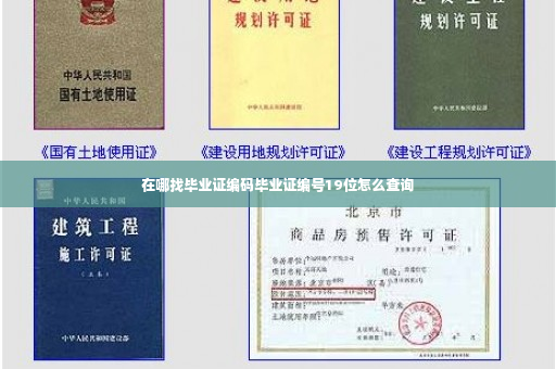 在哪找毕业证编码毕业证编号19位怎么查询
