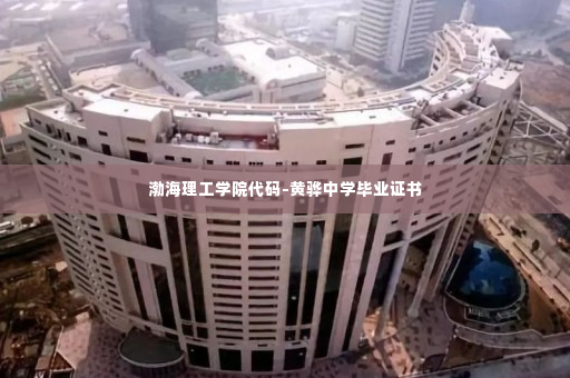 渤海理工学院代码-黄骅中学毕业证书