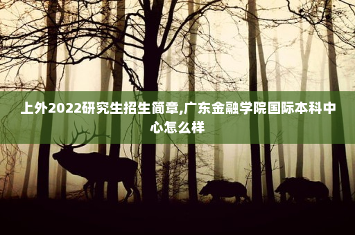 上外2022研究生招生简章,广东金融学院国际本科中心怎么样