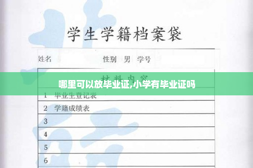 哪里可以放毕业证,小学有毕业证吗