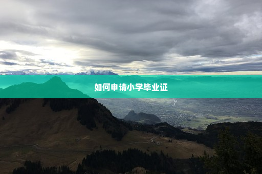 如何申请小学毕业证