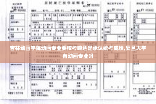 吉林动画学院动画专业要校考嘛还是承认统考成绩,复旦大学有动画专业吗