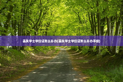 丢失学士学位证怎么补办(丢失学士学位证怎么补办手续)