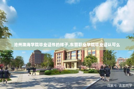 沧州渤海学院毕业证书的样子,东营职业学院毕业证认可么