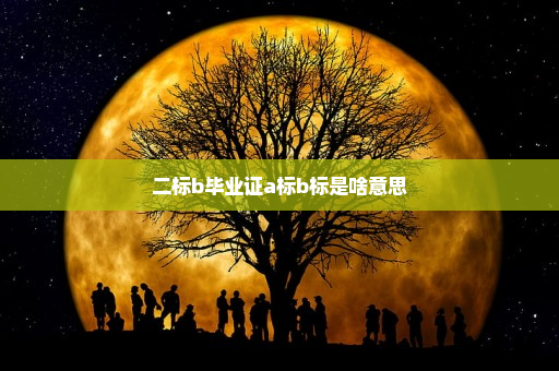 二标b毕业证a标b标是啥意思