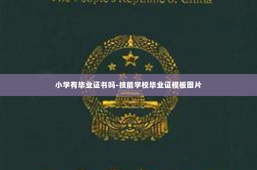 小学有毕业证书吗-技能学校毕业证模板图片