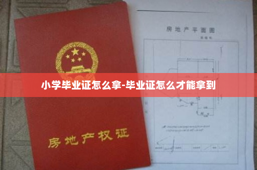 小学毕业证怎么拿-毕业证怎么才能拿到