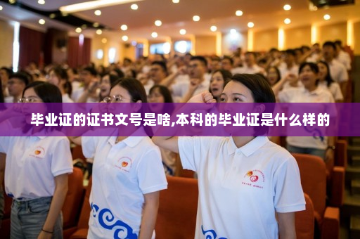 毕业证的证书文号是啥,本科的毕业证是什么样的