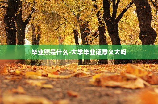 毕业照是什么-大学毕业证意义大吗