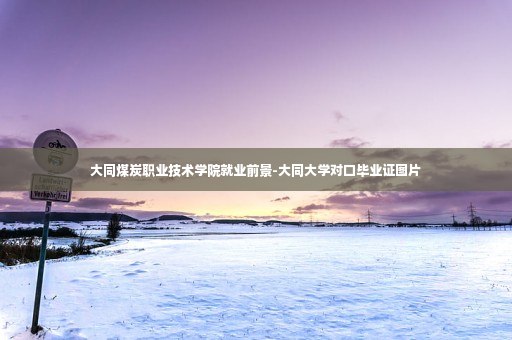 大同煤炭职业技术学院就业前景-大同大学对口毕业证图片
