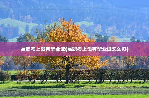 高职考上没有毕业证(高职考上没有毕业证怎么办)