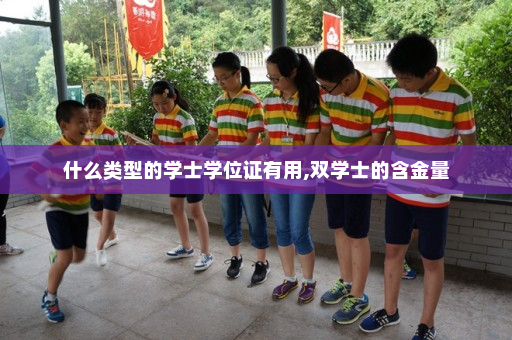 什么类型的学士学位证有用,双学士的含金量