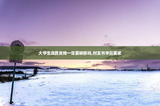 大学生选民资格一定要转移吗,村支书学历要求