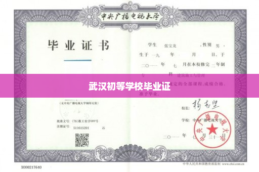 武汉初等学校毕业证