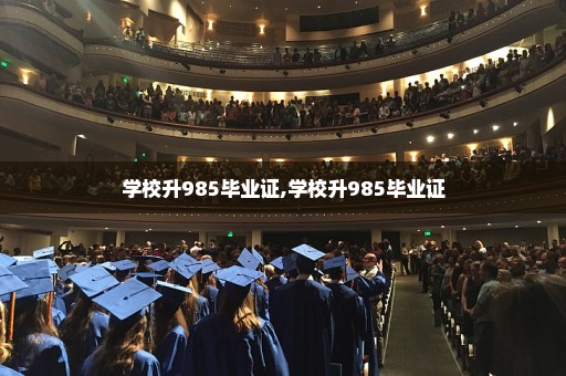 学校升985毕业证,学校升985毕业证