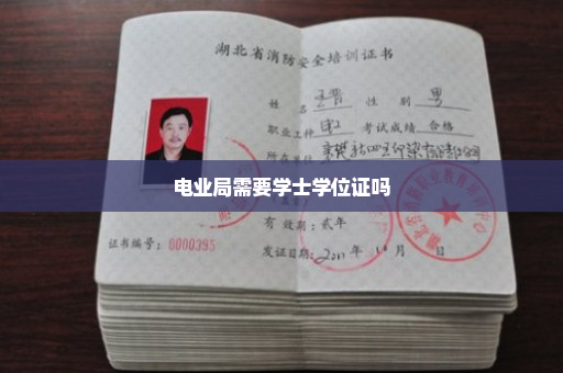 电业局需要学士学位证吗