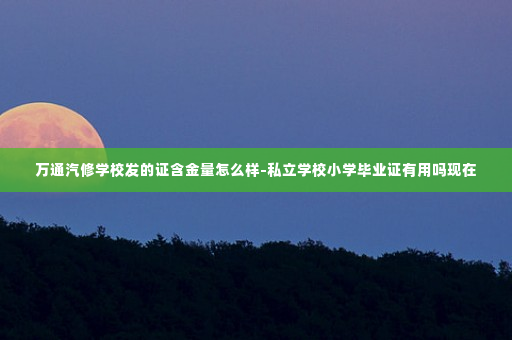 万通汽修学校发的证含金量怎么样-私立学校小学毕业证有用吗现在