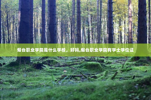烟台职业学院是什么学校，好吗,烟台职业学院有学士学位证