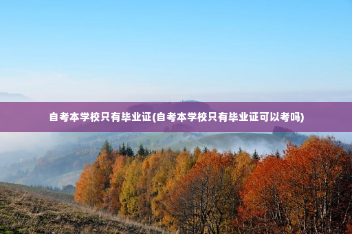 自考本学校只有毕业证(自考本学校只有毕业证可以考吗)