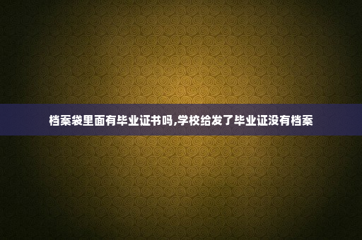 档案袋里面有毕业证书吗,学校给发了毕业证没有档案