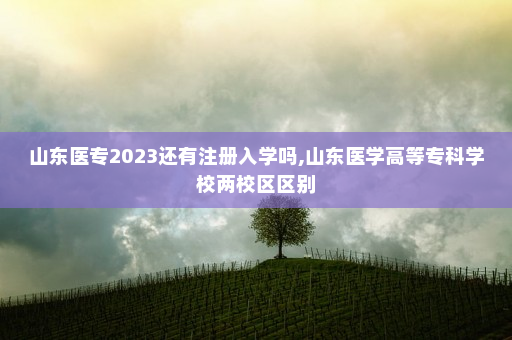 山东医专2023还有注册入学吗,山东医学高等专科学校两校区区别