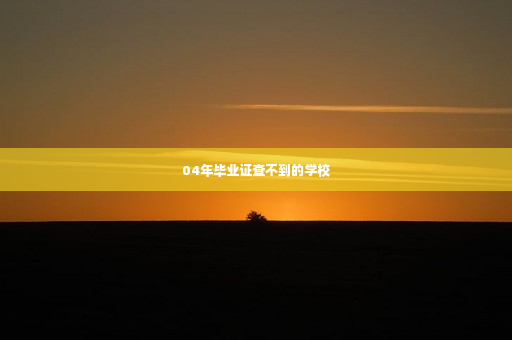 04年毕业证查不到的学校