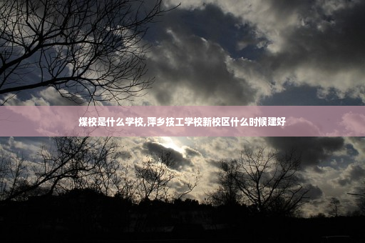 煤校是什么学校,萍乡技工学校新校区什么时候建好