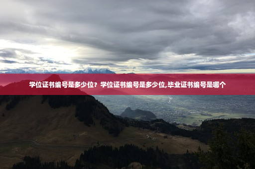 学位证书编号是多少位?学位证书编号是多少位,毕业证书编号是哪个