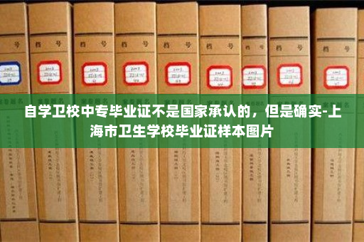自学卫校中专毕业证不是国家承认的，但是确实-上海市卫生学校毕业证样本图片