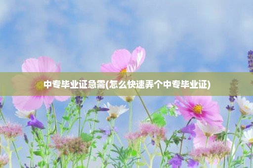 中专毕业证急需(怎么快速弄个中专毕业证)